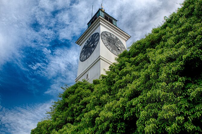Private Half Day Serbia Tour Novi Sad and Petrovaradin Fortress - Novi Sad’s churches and Bishop’s Palace