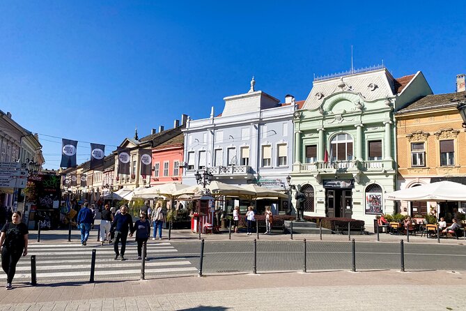 Private Novi Sad, Titanic wine tasting and Farmer's House - Who should book this experience?