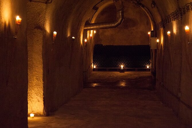 Private Wine Tasting by Party in Belgrade - Is $75.24 a Fair Price?