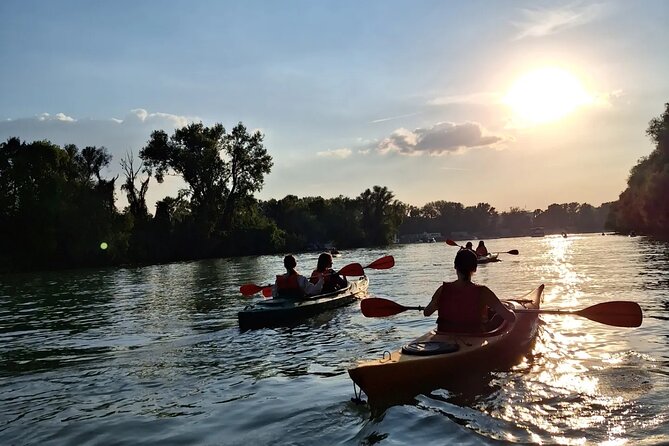 Self-guided kayak tour in Belgrade - The Sava and Danube meet below the fortress