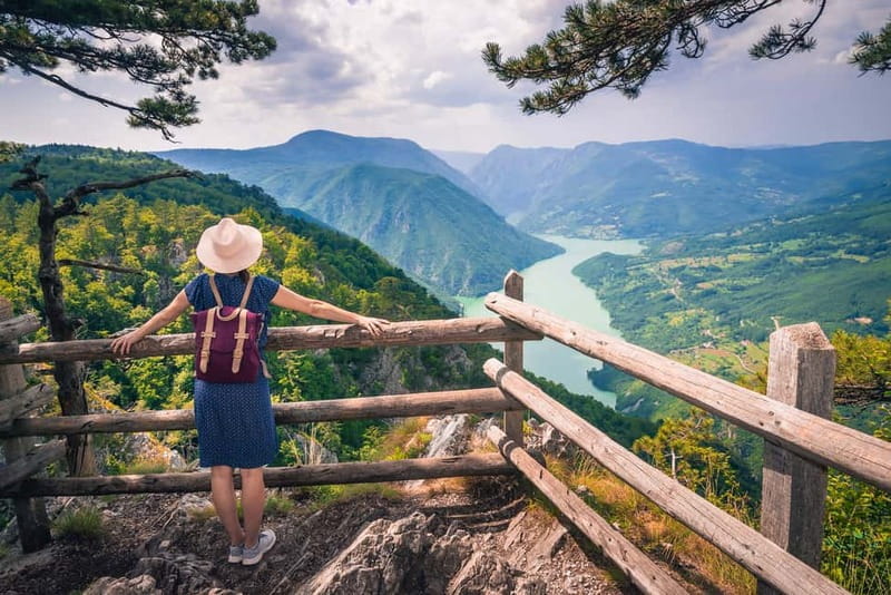 Serbia: Drina River House & Tara National Park Full Day Tour - Key points to know before booking