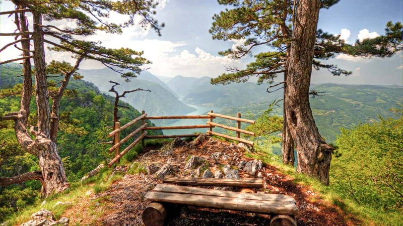 Serbia: Drina River House & Tara National Park Full Day Tour - Moving from river valley to Tara’s forest roads