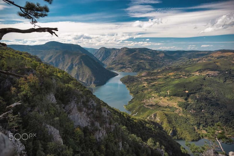 Serbia: Drina River House & Tara National Park Full Day Tour - Tara National Park in 90 minutes