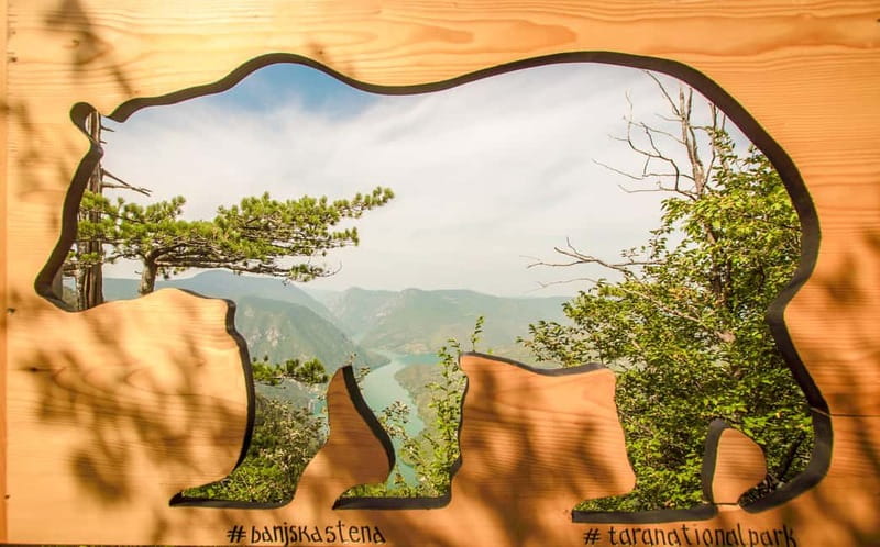Serbia: Drina River House & Tara National Park Full Day Tour - Timing, comfort, and who should book