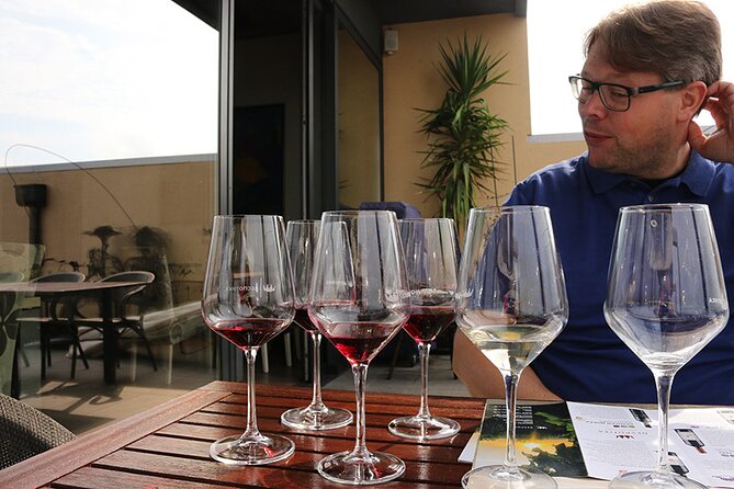 Small Group Wine Tour in Sumadija Wine Region - The guides are a major part of the experience