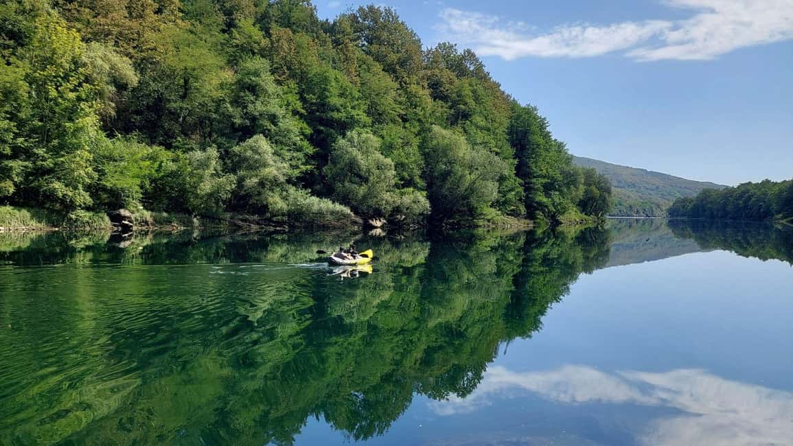 Tara National Park: Drina River Kayak or SUP Tour with Guide - Three hours of green water and mild rapids