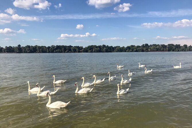 Your Own Belgrade: Unexpected Treasures of the City - Tašmajdan Park: quarry, cemetery, and city green