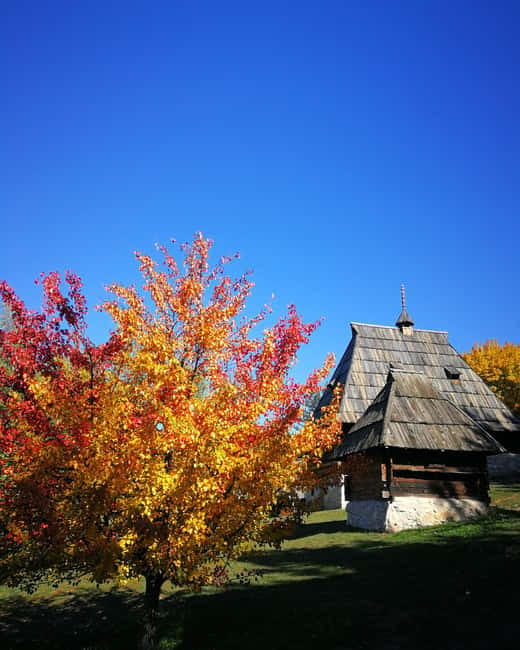 Zlatibor tour - Gold gondola, Stopic cave, Sirogojno & falls - Zlatibor lunch and local market flavors